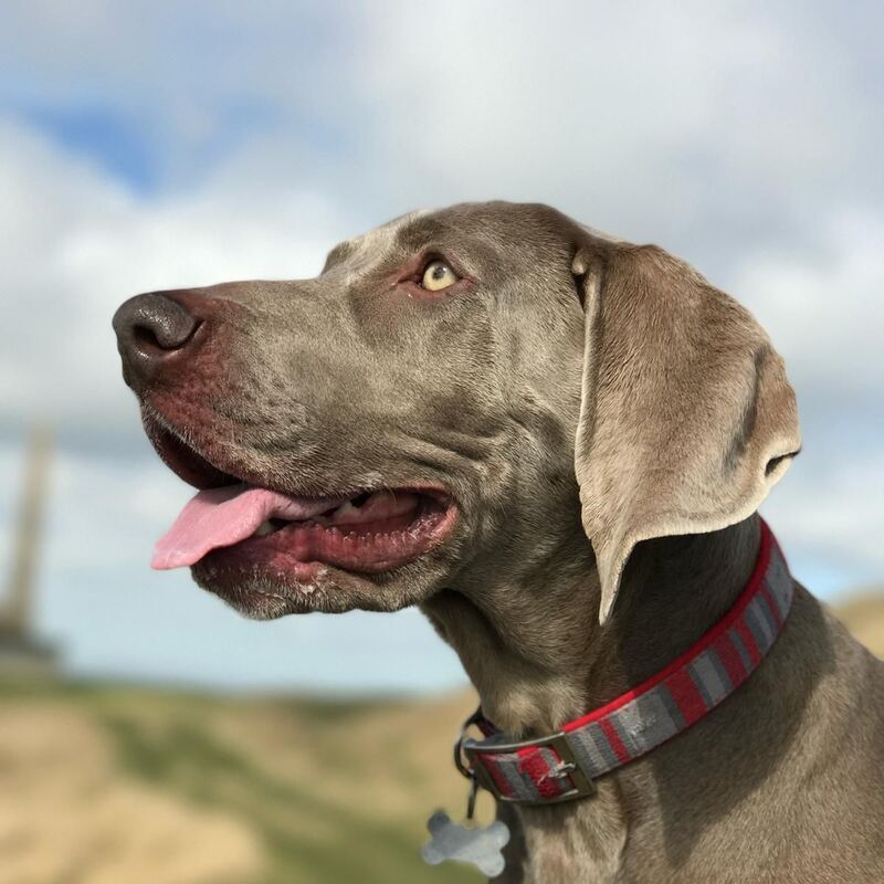 RIP
STORM